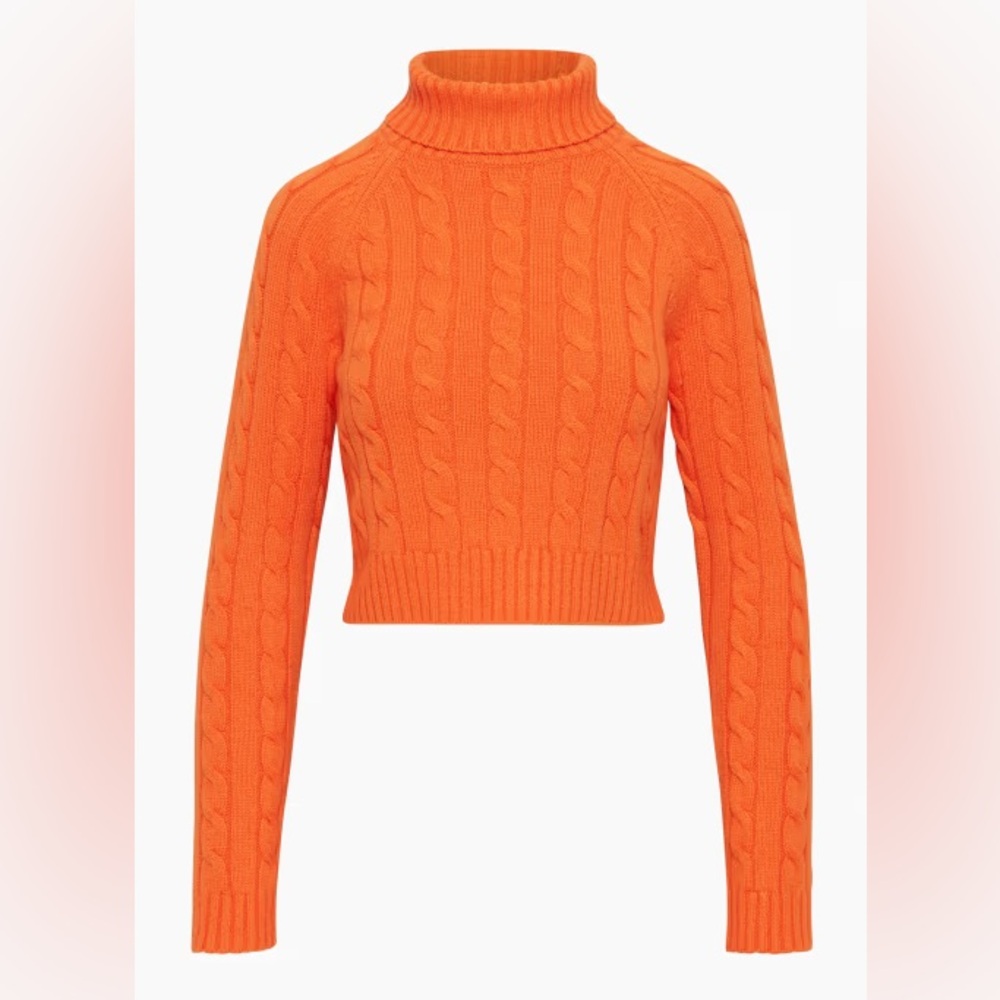 Aritzia Sunday Best Jones Sweater/Turtleneck sweater